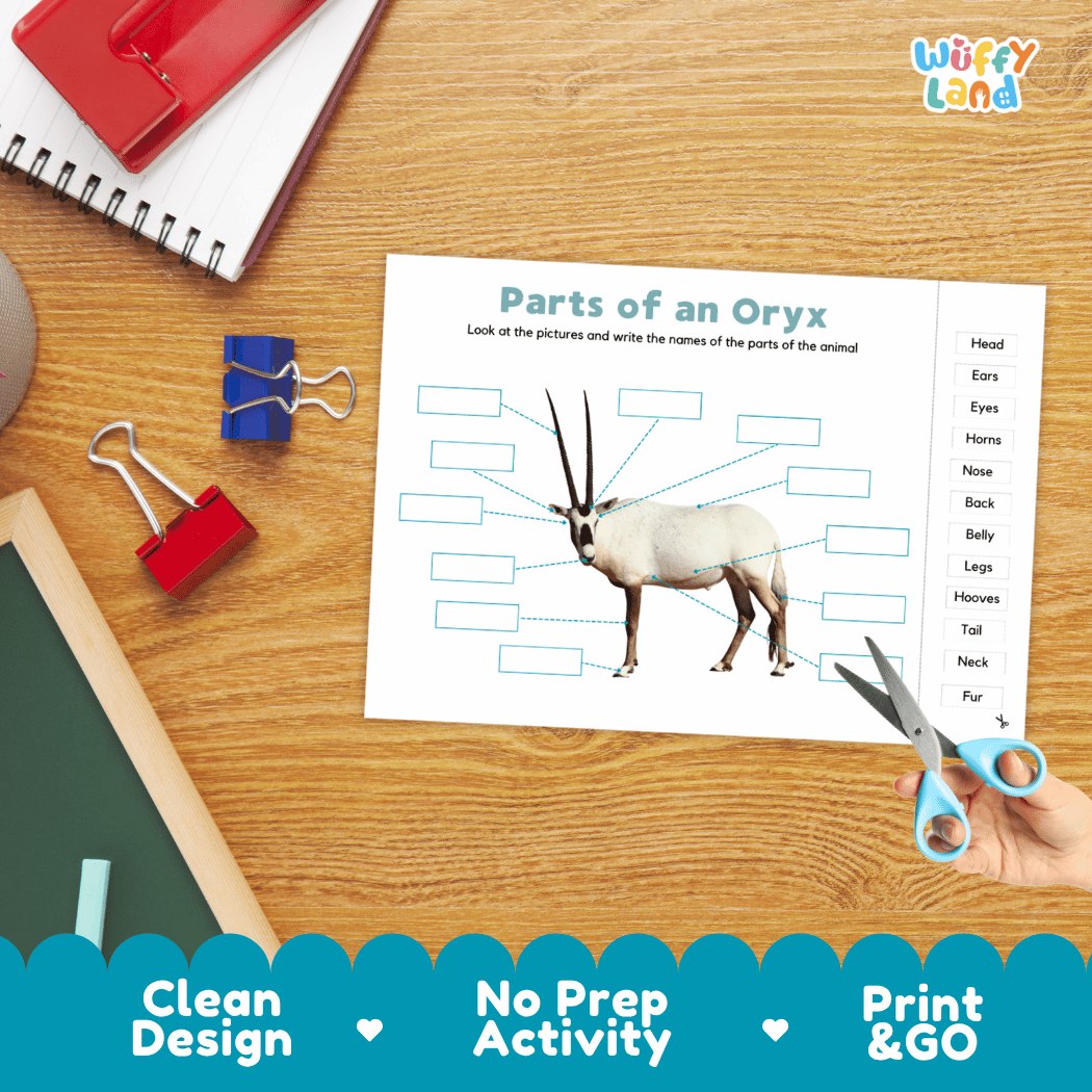 Differentiated oryx body parts labeling worksheets featuring fill-in write-in boxes and vocabulary word bank