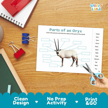 Differentiated oryx body parts labeling worksheets featuring fill-in write-in boxes and vocabulary word bank