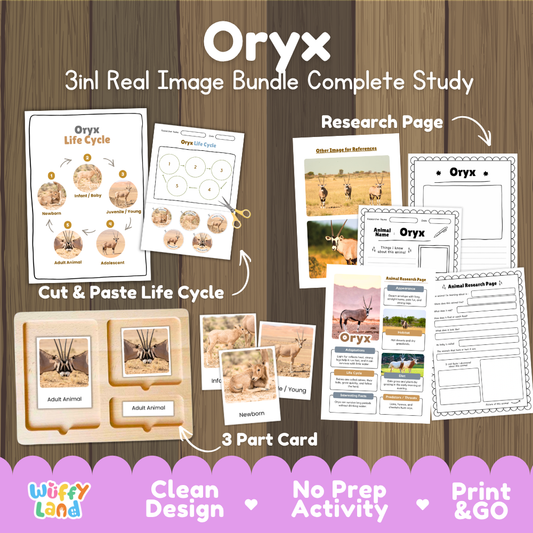 Oryx 3-in-1 real image bundle complete study cover showing cut and paste life cycle, 3 part cards, and research pages