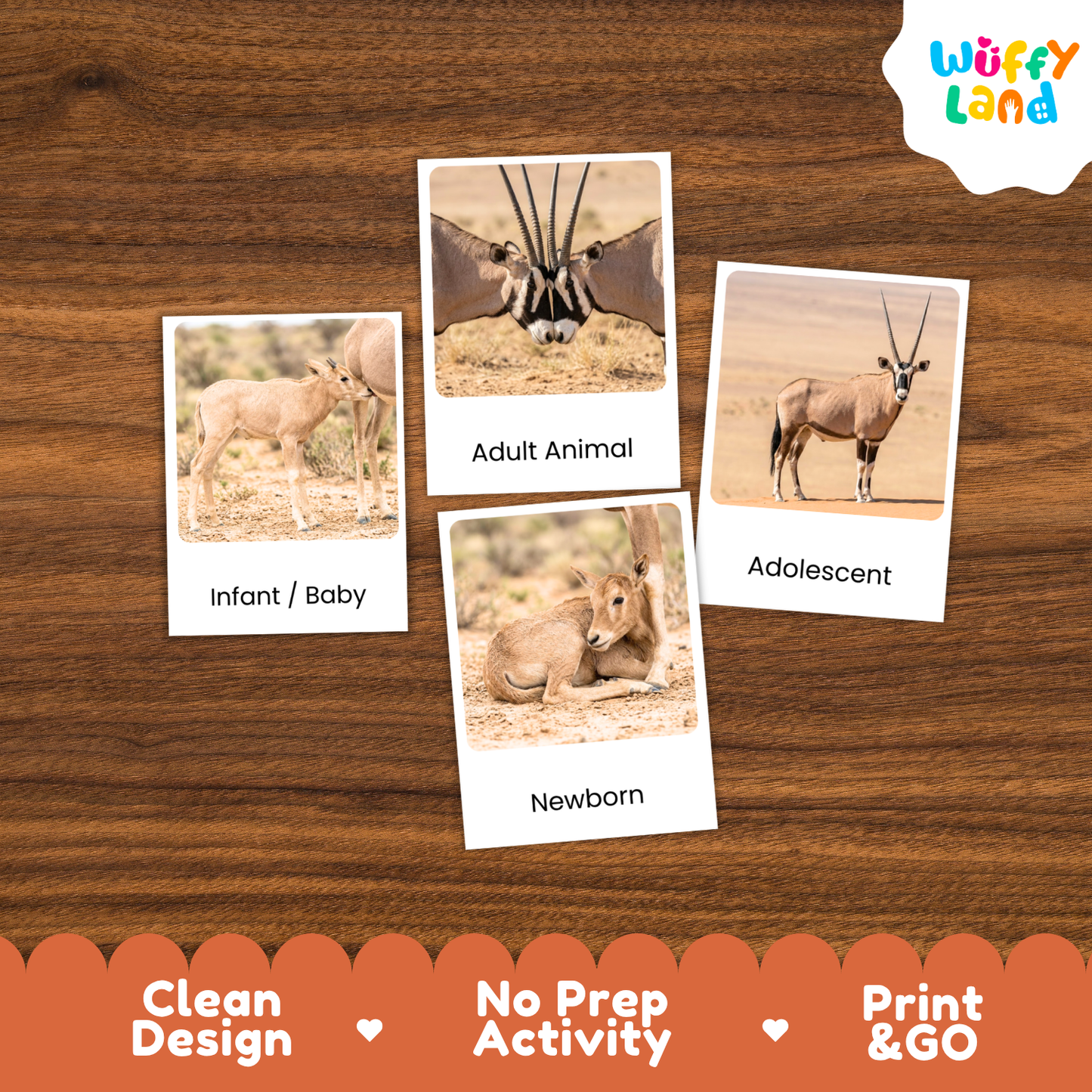 Four animal-themed activity cards displayed on a brown wood-grain background, labeled Infant/Baby, Adult Animal, Adolescent, and Newborn. The cards show different antelope/oxford-style animals in desert scenes.
