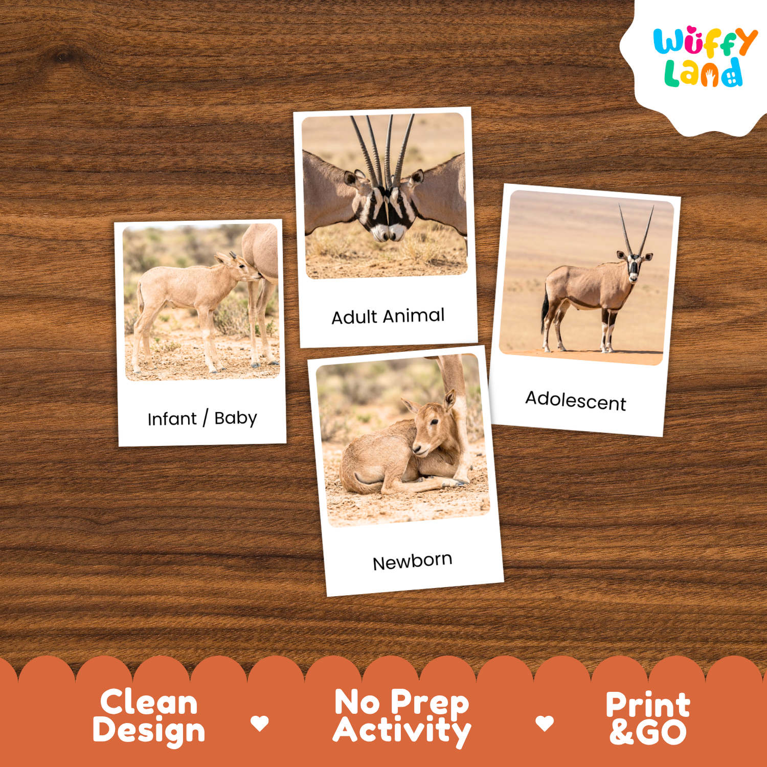 Four animal-themed activity cards displayed on a brown wood-grain background, labeled Infant/Baby, Adult Animal, Adolescent, and Newborn. The cards show different antelope/oxford-style animals in desert scenes.