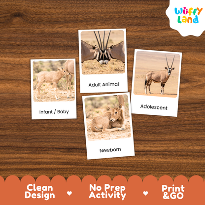 Four animal-themed activity cards displayed on a brown wood-grain background, labeled Infant/Baby, Adult Animal, Adolescent, and Newborn. The cards show different antelope/oxford-style animals in desert scenes.