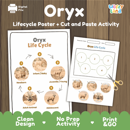Oryx Life Cycle Poster and Cut and Paste Activity Worksheets