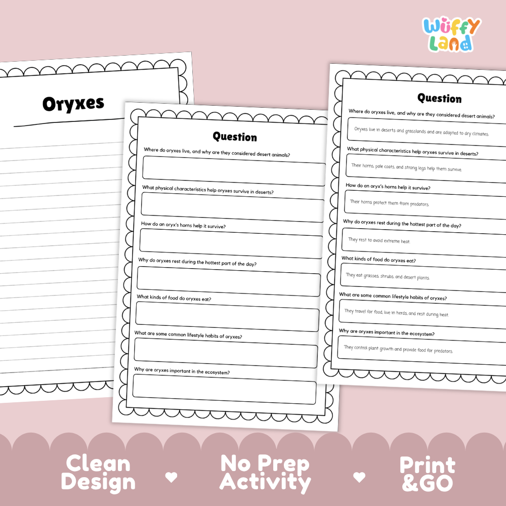 Three printable educational activity sheets for 'Oryxes' by Wiffly Land, displayed on a pink background with a 'Clean Design', 'No Prep Activity', and 'Print & GO' banner at the bottom.