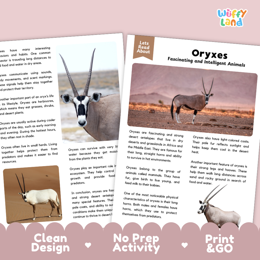 Oryxes Reading Passage and Comprehension Questions Worksheets with Answer Key