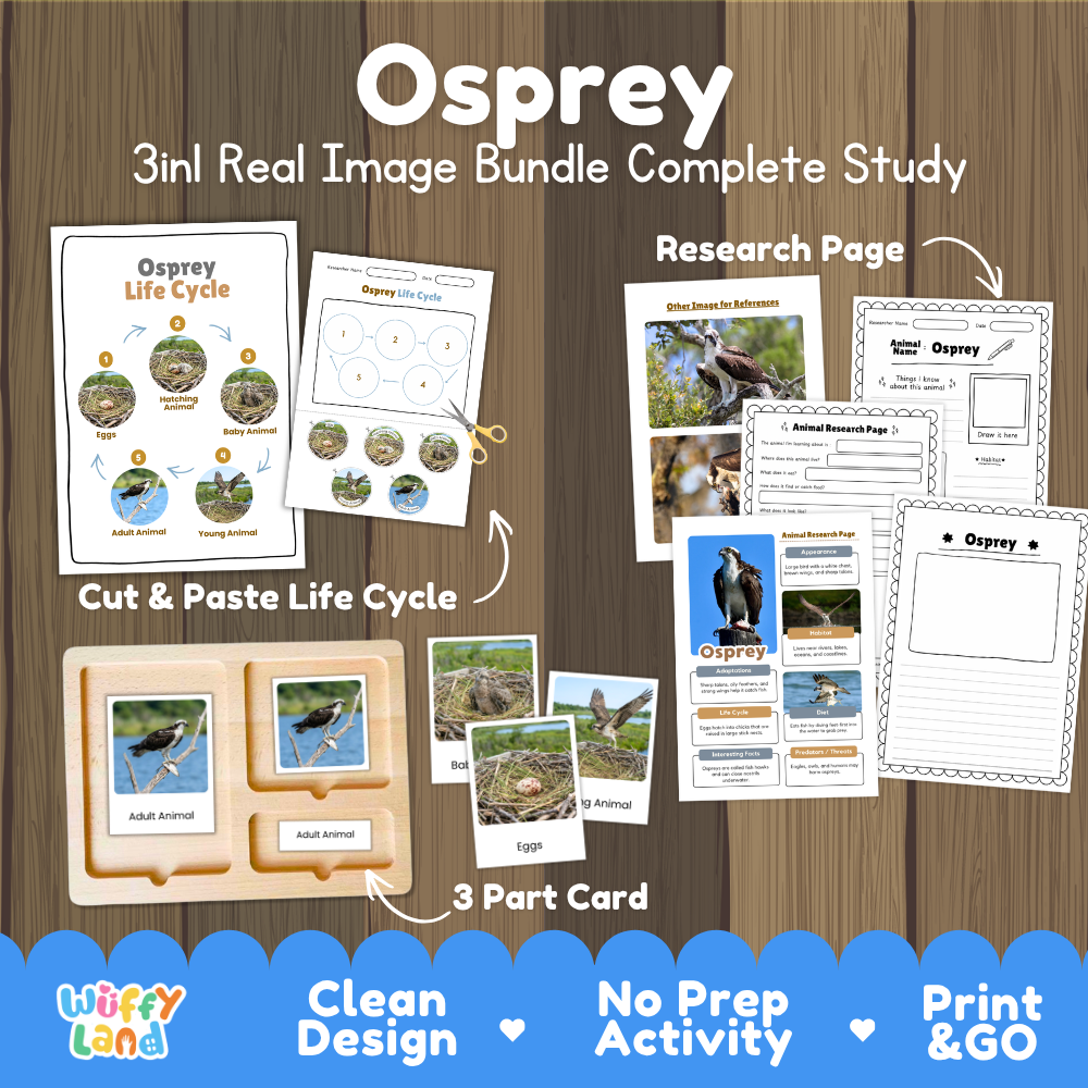 Osprey 3-in-1 real image bundle complete study cover showing cut and paste life cycle, 3 part cards, and research pages