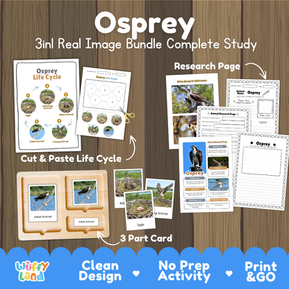 Osprey 3-in-1 real image bundle complete study cover showing cut and paste life cycle, 3 part cards, and research pages