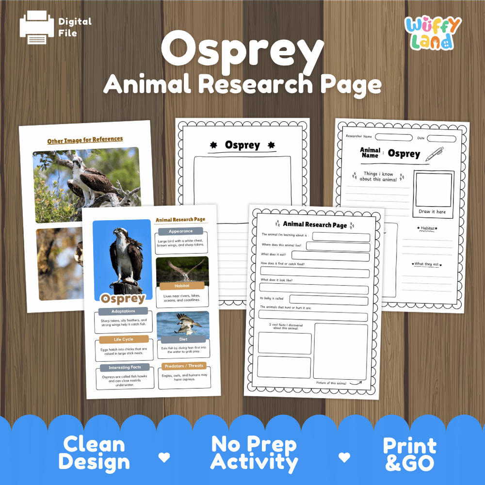 Osprey Animal Research Page Worksheets and Fact Sheet Activity