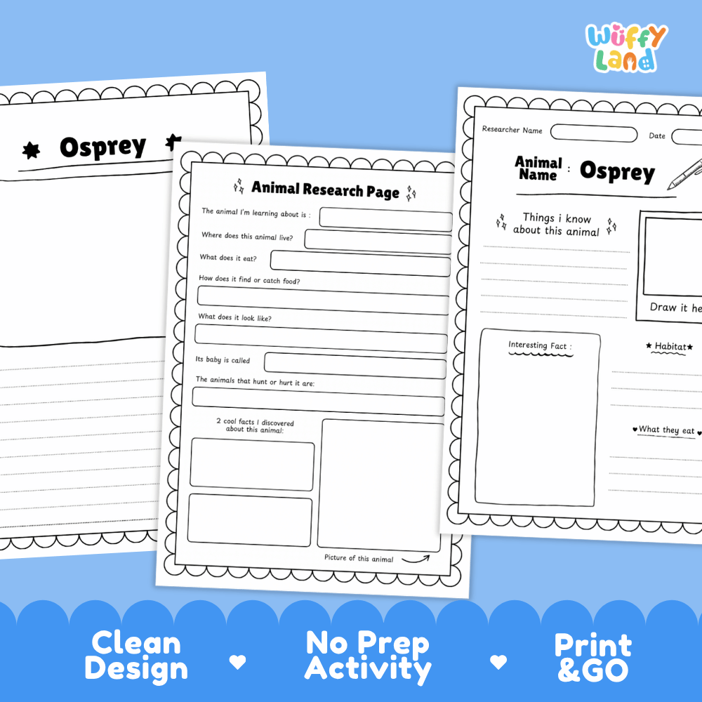Osprey Animal Research Page Worksheets and Fact Sheet Activity