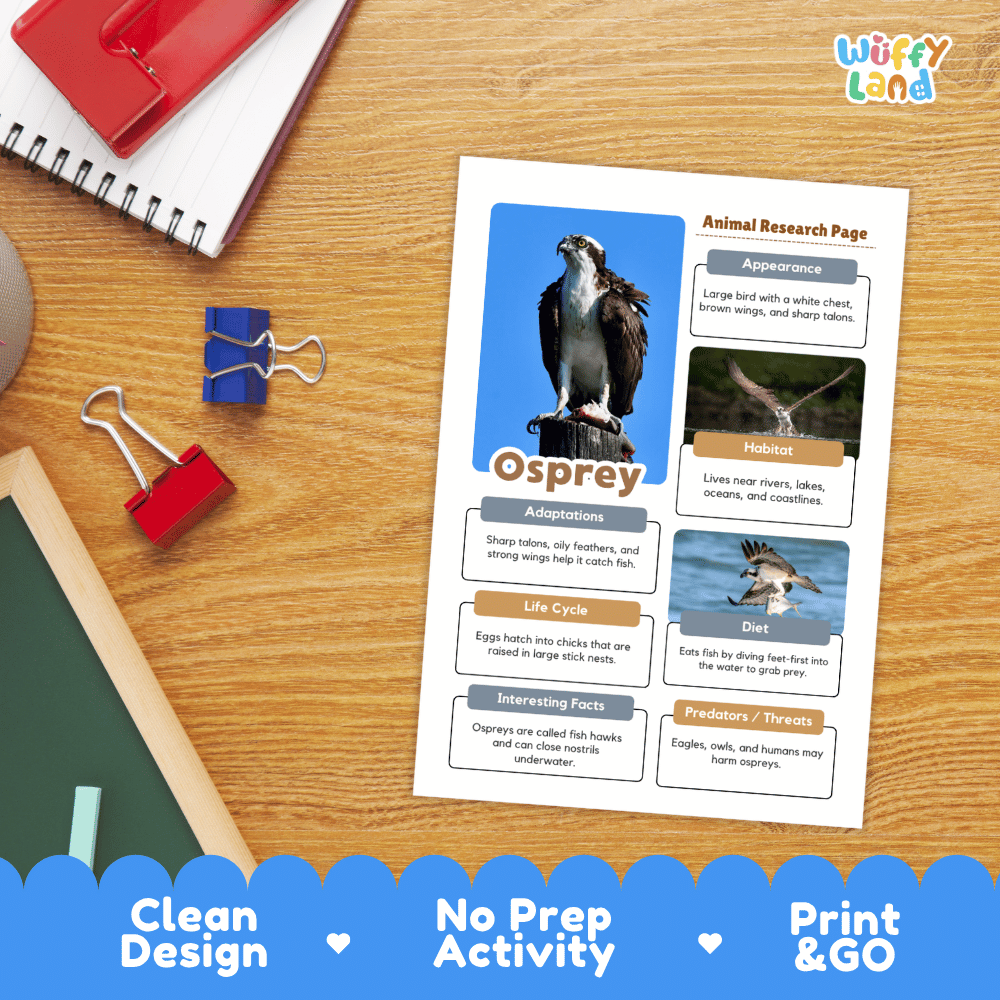 Osprey Animal Research Page Worksheets and Fact Sheet Activity