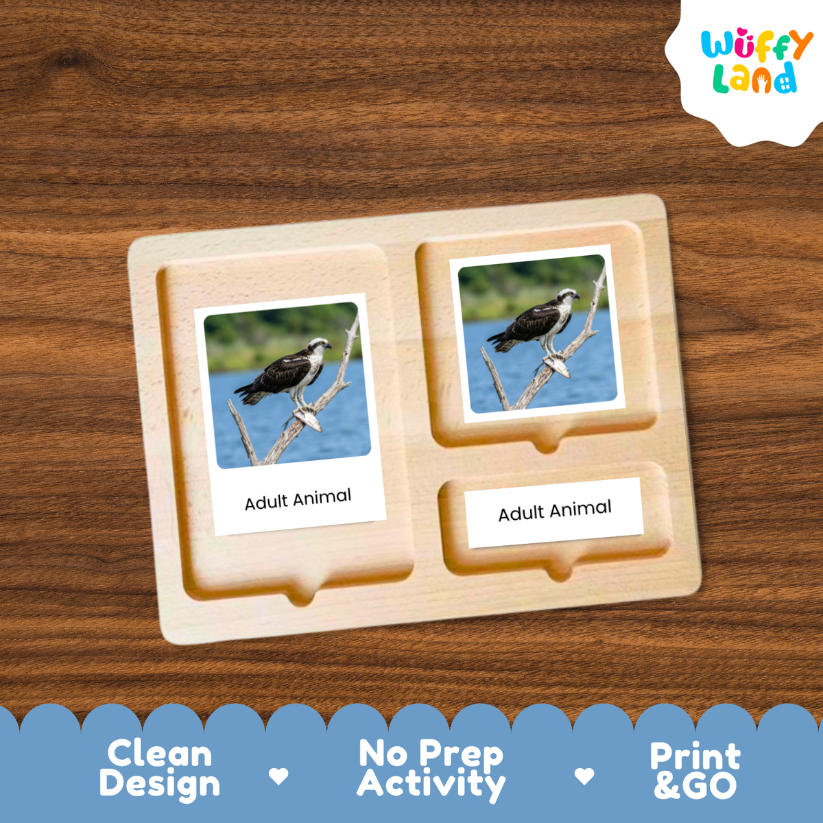 A wooden Montessori-style activity board with two labeled slots reading 'Adult Animal,' each holding a printed photo card of an adult bird. The board is shown on a wood-grain background, with a 'Wuffy Land' logo in the top right and marketing text along the bottom: 'Clean Design,' 'No Prep Activity,' and 'Print & GO.
