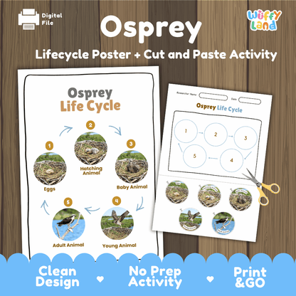 Osprey Life Cycle Poster and Cut and Paste Worksheet Activity