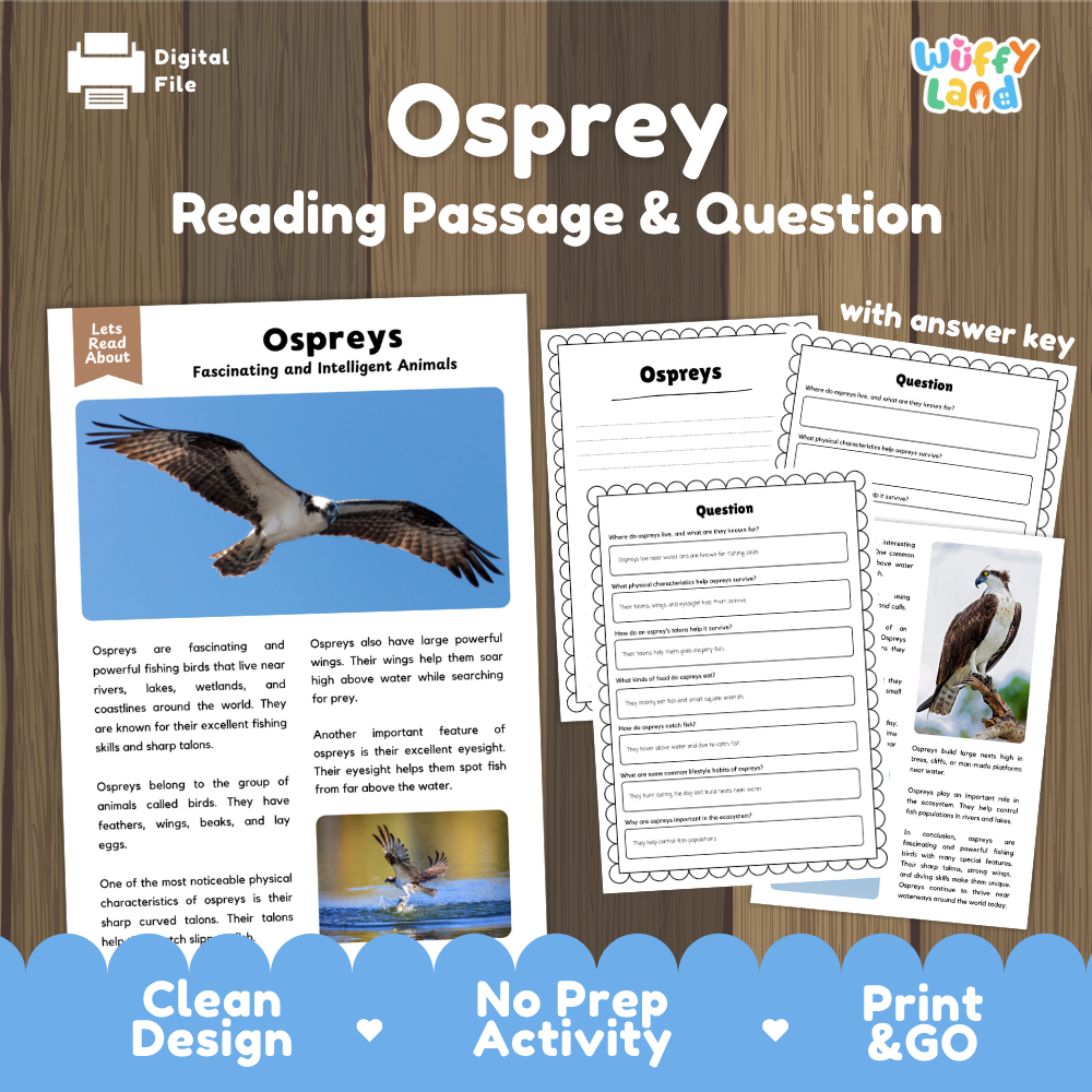 Osprey Reading Passage and Comprehension Questions Worksheets
