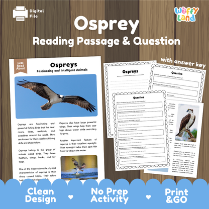 Osprey Reading Passage and Comprehension Questions Worksheets