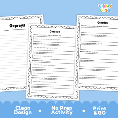 Osprey Reading Passage and Comprehension Questions Worksheets