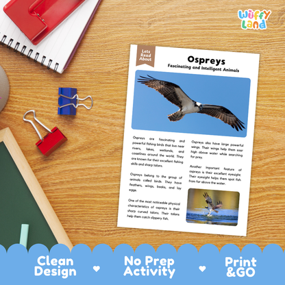 Osprey Reading Passage and Comprehension Questions Worksheets