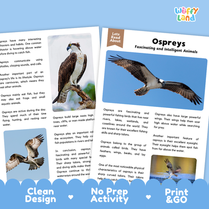 Osprey Reading Passage and Comprehension Questions Worksheets