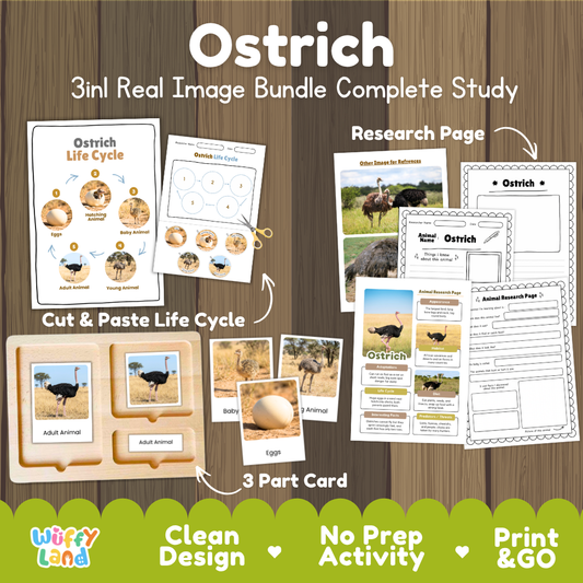 Ostrich 3-in-1 real image bundle complete study cover showing cut and paste life cycle, 3 part cards, and research pages