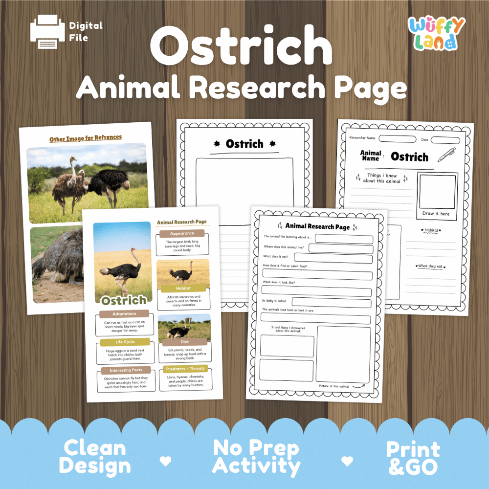 Ostrich Animal Research Page printable activity sheet set by Wiffy Land, displayed on a wood-grain background with promotional text at the bottom.