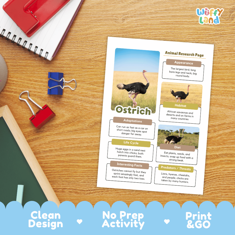 Ostrich Animal Research Page Graphic Organizers and Worksheets