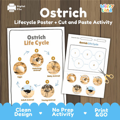 Ostrich Life Cycle Poster and Cut and Paste Activity Worksheets