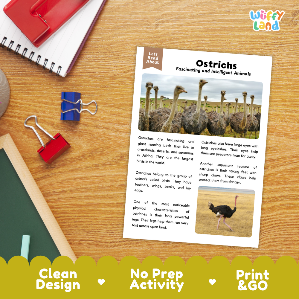 An educational activity sheet titled 'Ostriches: Fascinating and Intelligent Animals' laid flat on a wooden desk, surrounded by school supplies like a notebook, pen, binder clips, and a pencil. The sheet includes text and animal photos, and the image has a green and yellow banner at the bottom advertising 'Clean Design', 'No Prep Activity', and 'Print & GO'.