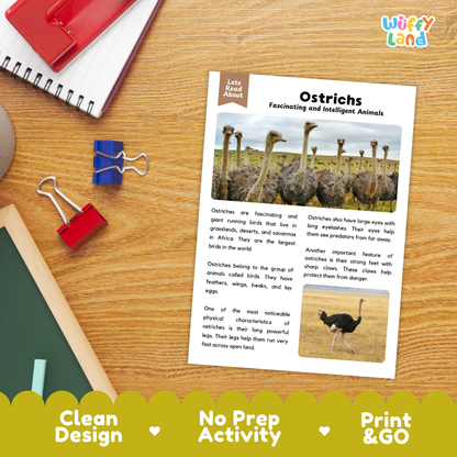 An educational activity sheet titled 'Ostriches: Fascinating and Intelligent Animals' laid flat on a wooden desk, surrounded by school supplies like a notebook, pen, binder clips, and a pencil. The sheet includes text and animal photos, and the image has a green and yellow banner at the bottom advertising 'Clean Design', 'No Prep Activity', and 'Print & GO'.