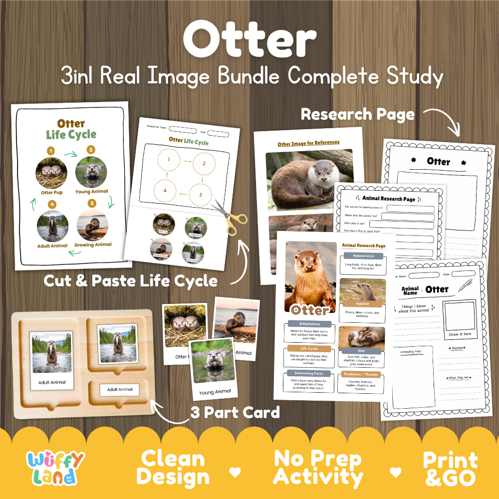 Otter 3-in-1 real image bundle complete study cover showing cut and paste life cycle, 3 part cards, and research pages