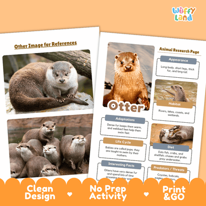 Otter Animal Research Page Worksheets