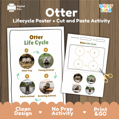 Otter Life Cycle Poster and Cut and Paste Activity Worksheets