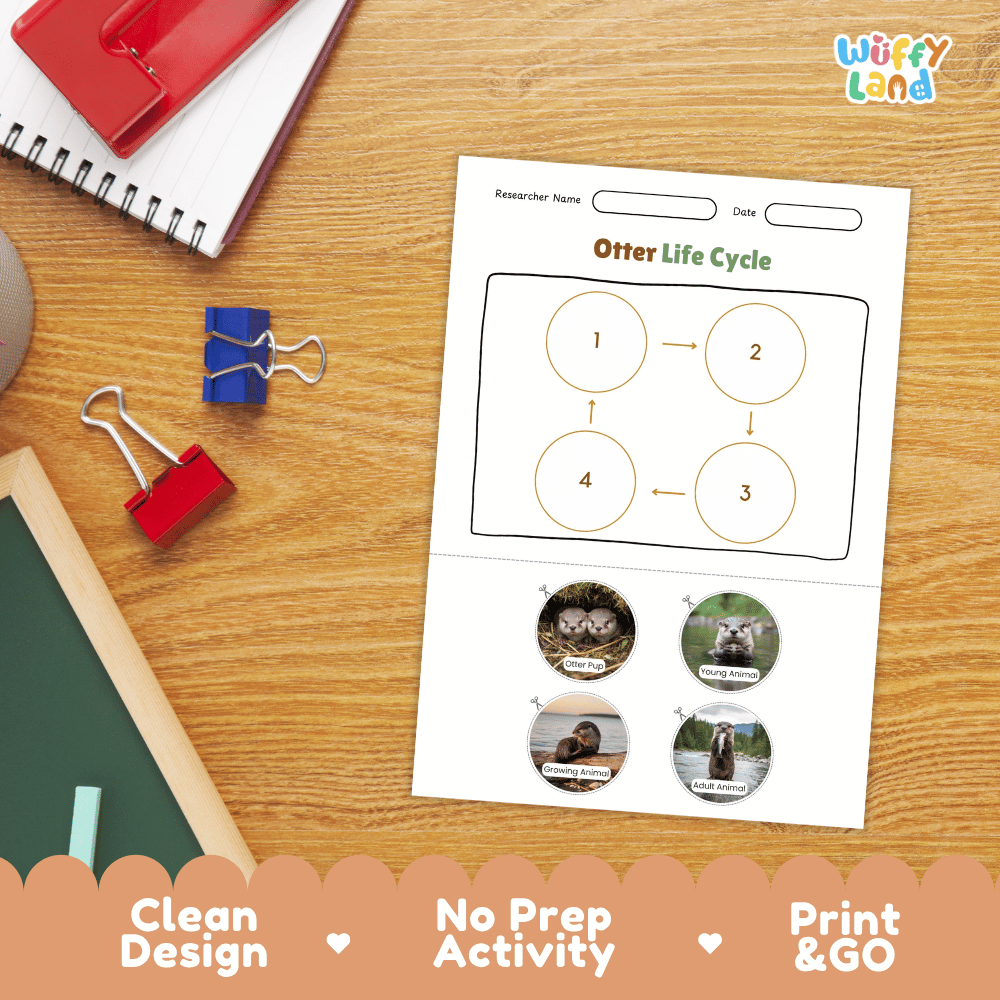Otter Life Cycle Poster and Cut and Paste Activity Worksheets