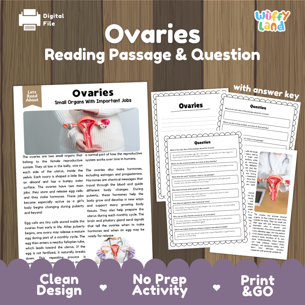 Ovaries reading comprehension passage and questions printable activity pack with answer key for elementary students