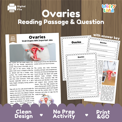Ovaries reading comprehension passage and questions printable activity pack with answer key for elementary students
