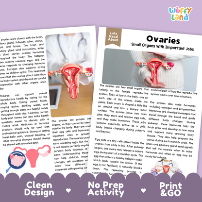 Teacher answer key page showing complete question solutions for Ovaries human body reading comprehension practice