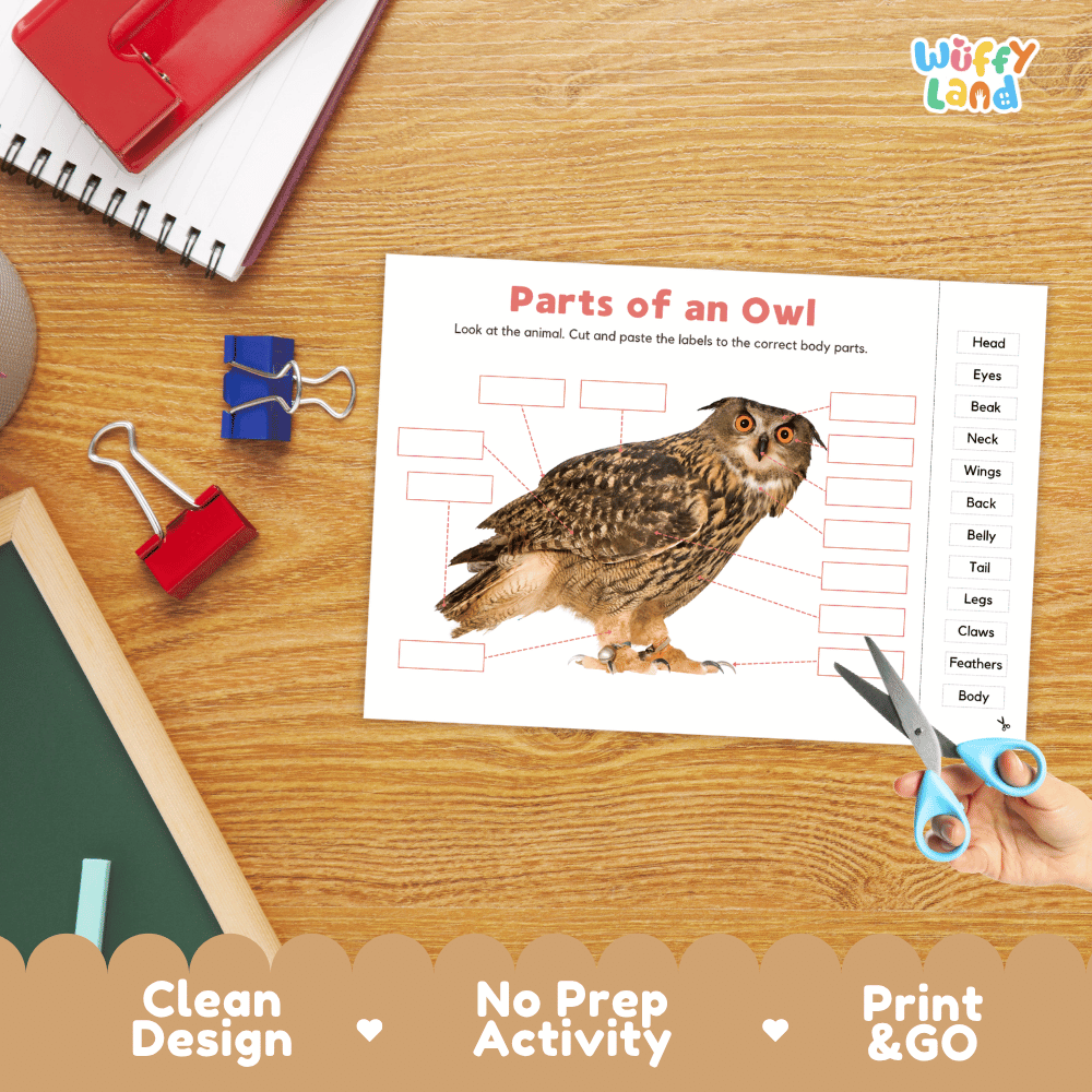 Printable bird of prey anatomy worksheet showing a realistic perched owl with blank labeling boxes and a vocabulary word bank for writing practice