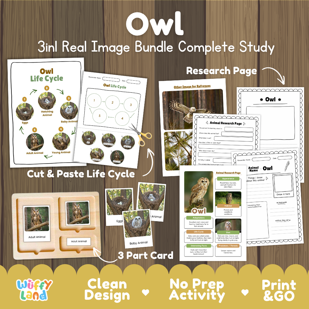 Owl 3-in-1 real image bundle complete study cover showing cut and paste life cycle, 3 part cards, and research pages