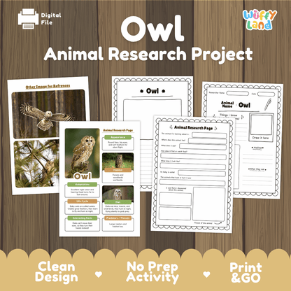 Owl Animal Research Project digital activity sheet set on a wood-grain background, featuring printable worksheets, an owl reference image page, and a title card with the brand name 'Wiffy Land'.