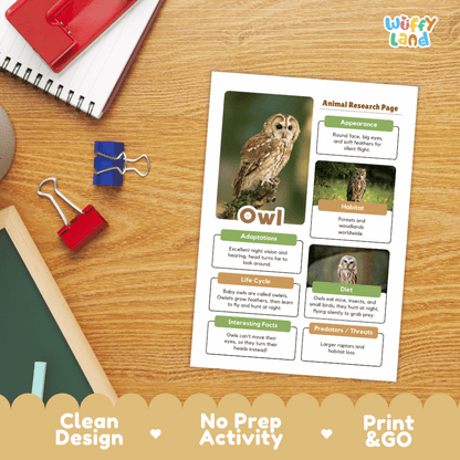 An educational printout titled 'Animal Research Page' about an owl, shown on a wooden desk with school supplies. The page includes a large owl photo, text boxes, and headings like 'Appearance,' 'Habitat,' 'Adaptations,' 'Life Cycle,' and 'Diet.