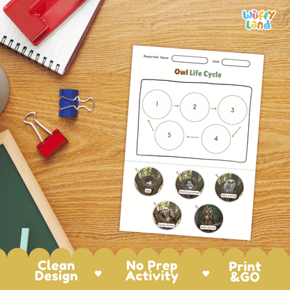 Owl Lifecycle Poster and Cut and Paste Activity Worksheets | Bird Science Printables