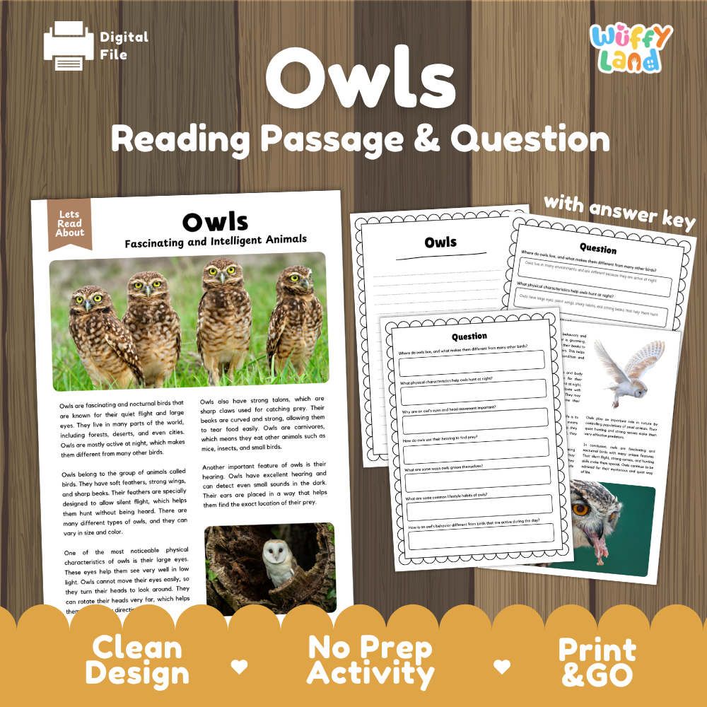 Owls Reading Passage and Comprehension Questions with Answer Key