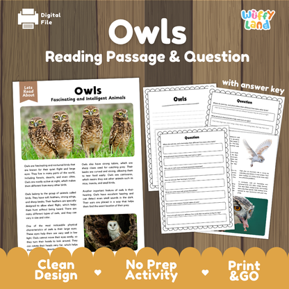 Owls Reading Passage and Comprehension Questions with Answer Key