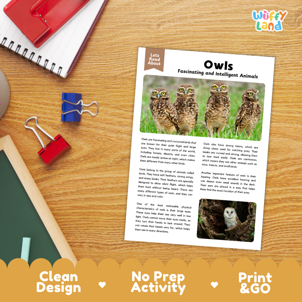 Owls Reading Passage and Comprehension Questions with Answer Key