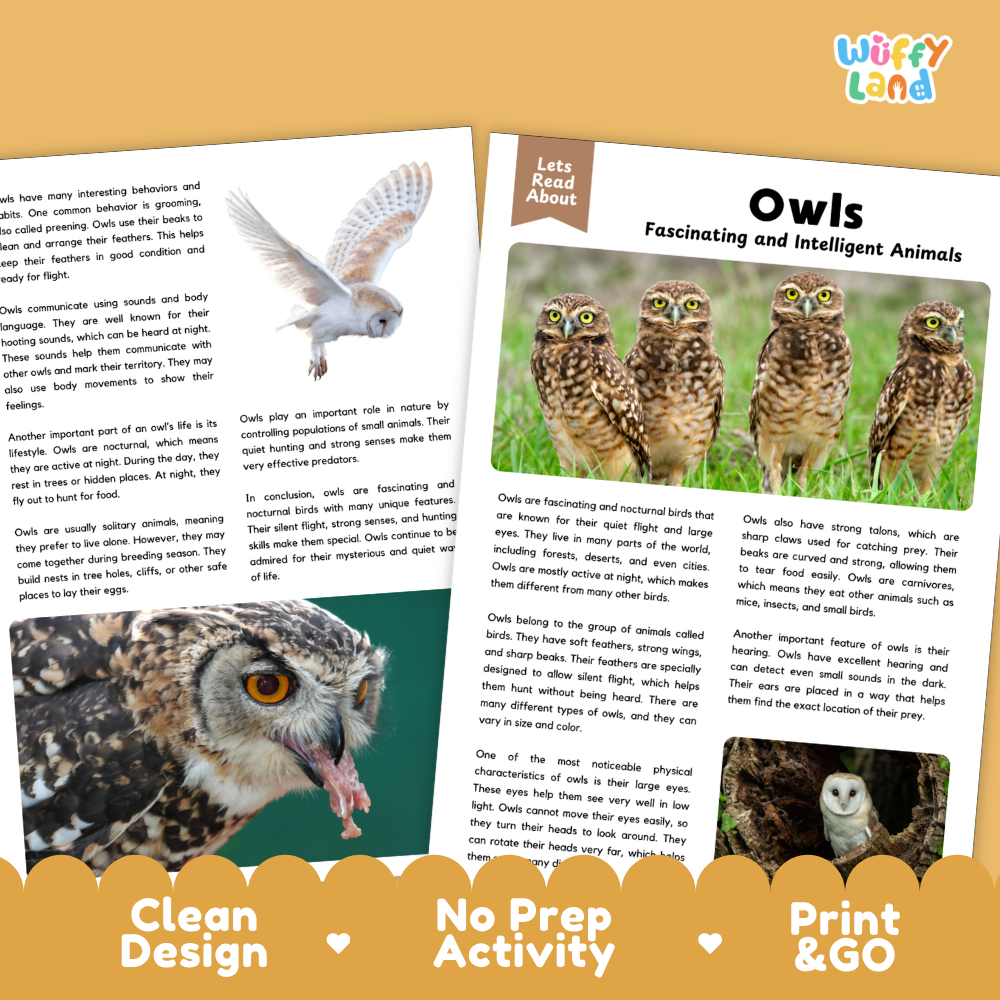 Owls Reading Passage and Comprehension Questions with Answer Key