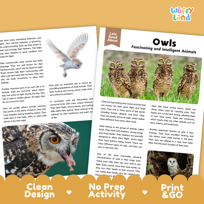 Owls Reading Passage and Comprehension Questions with Answer Key
