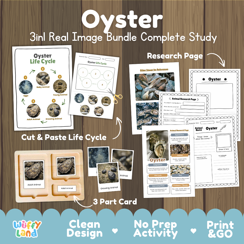 Oyster 3-in-1 real image bundle complete study cover showing cut and paste life cycle, 3 part cards, and research pages