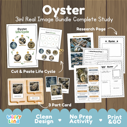 Oyster 3-in-1 real image bundle complete study cover showing cut and paste life cycle, 3 part cards, and research pages