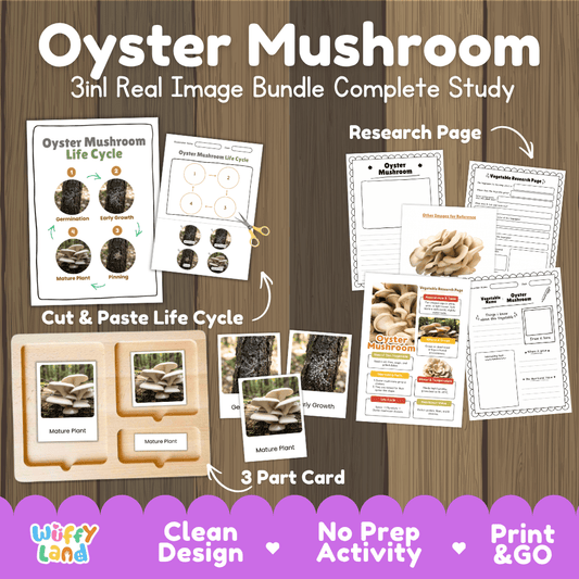 Oyster mushroom 3in1 real image bundle complete study printable featuring life cycle cut and paste worksheets, Montessori 3-part cards, and research pages