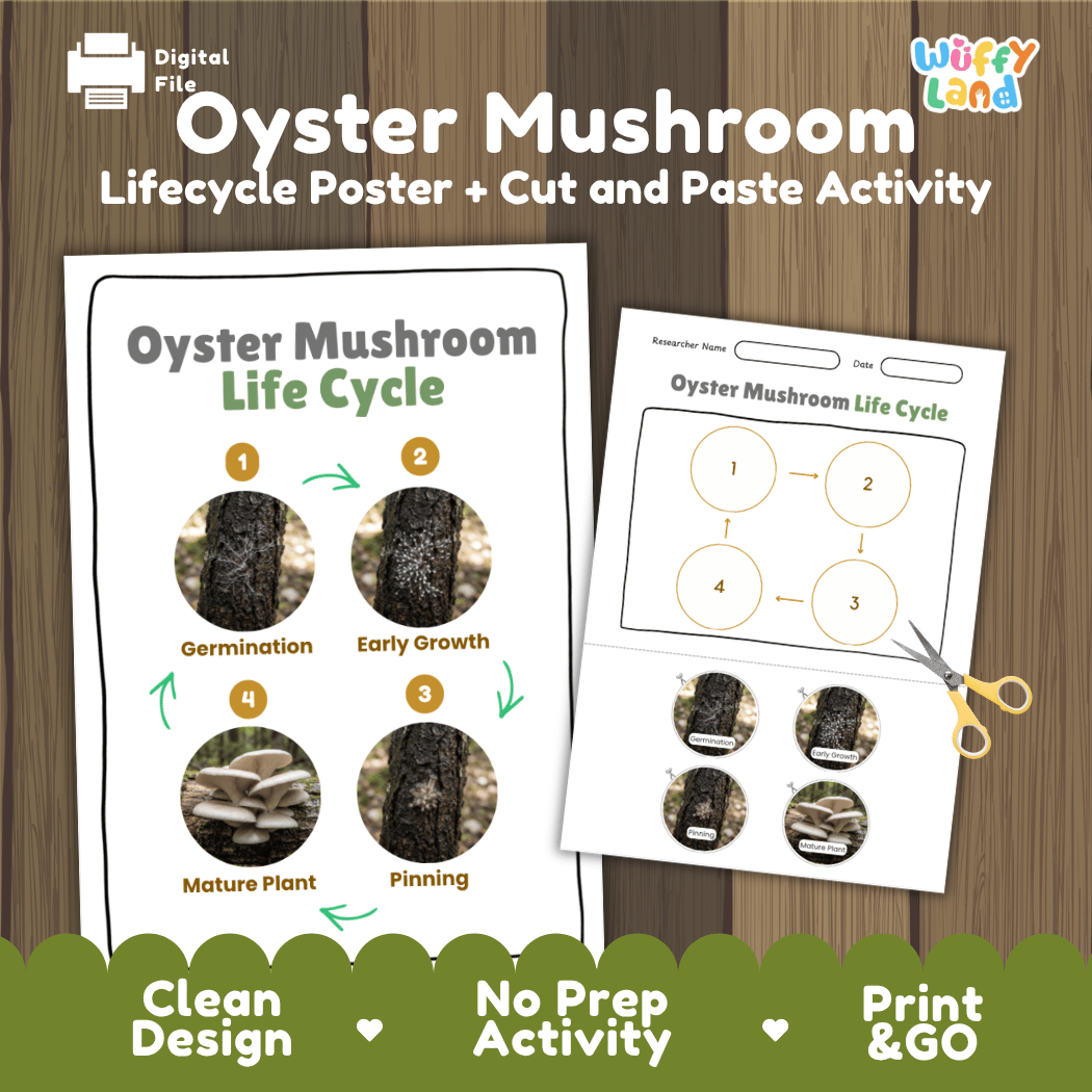 Oyster mushroom fungi life cycle educational printable pack cover showing visual reference poster and cut and paste sequencing worksheet with real photography
