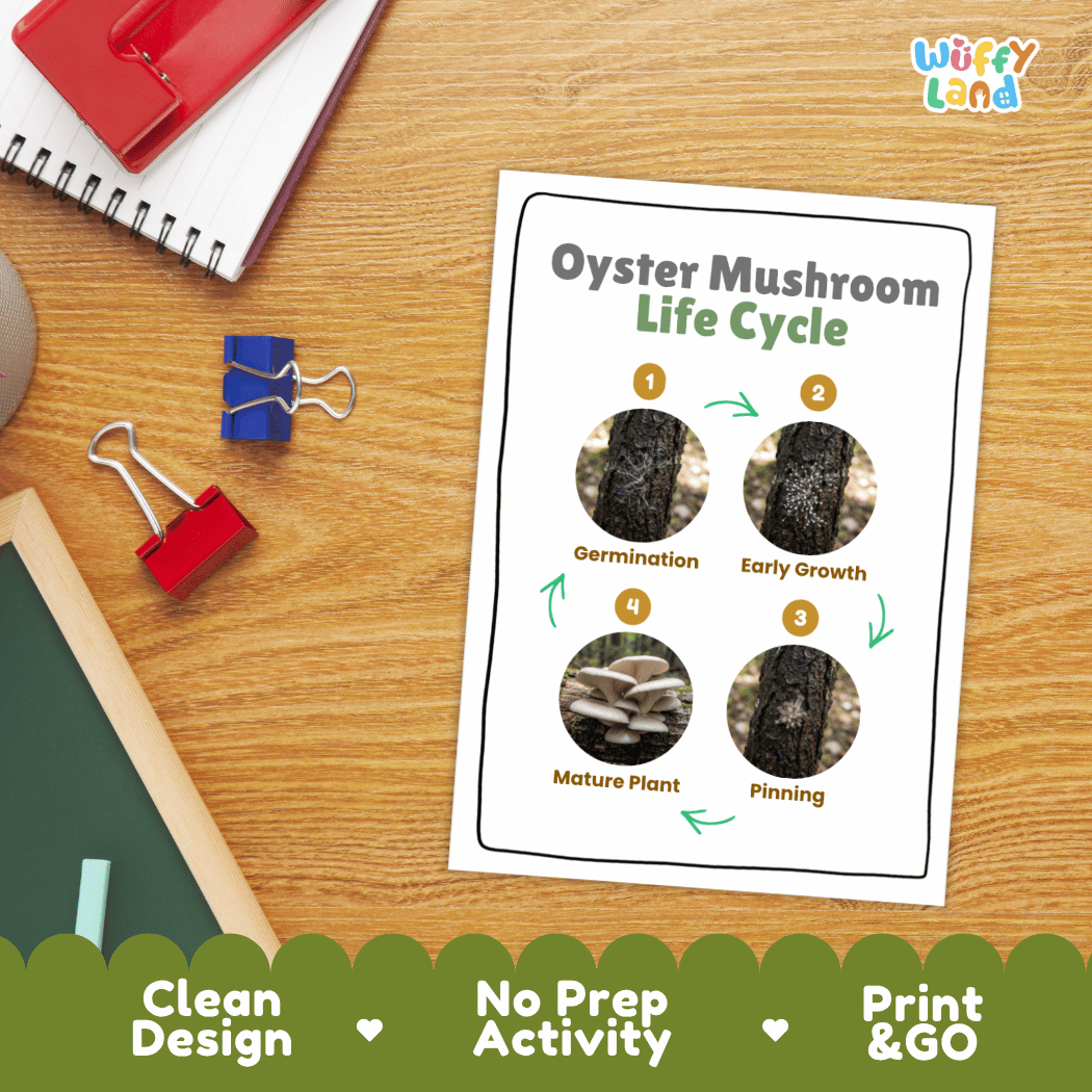 Hands-on cut and paste science worksheet for students to cut real photo tokens and sequence oyster mushroom growth stages onto numbered circles