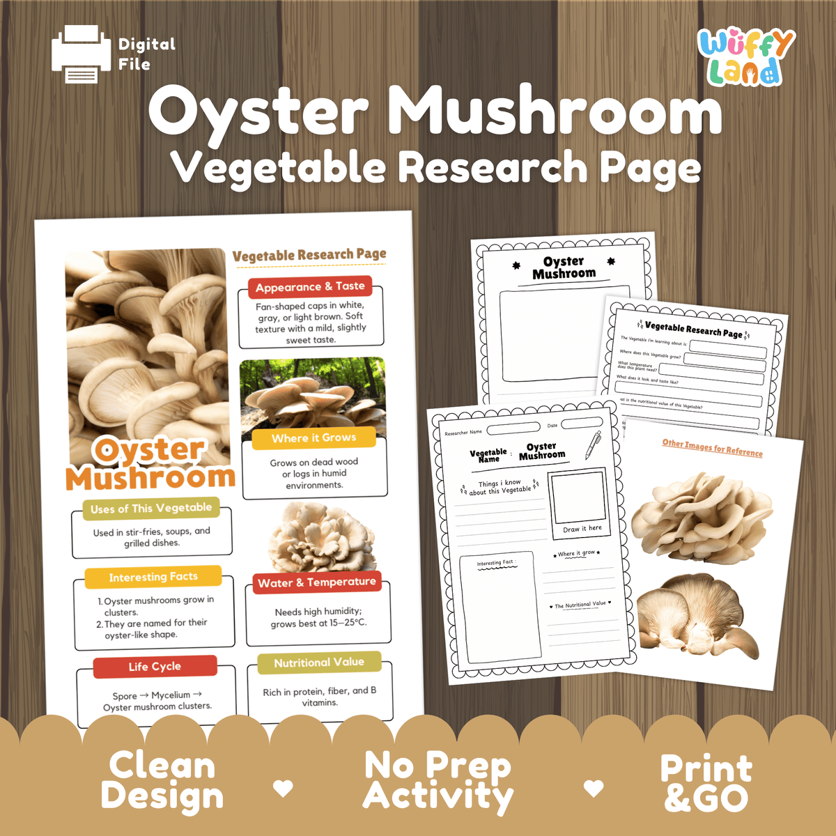Student vegetable research page writing worksheets with real oyster mushroom cluster photos, lined note-taking prompts, and drawing frames